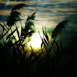 无尽❌裸体❌老师❌在线观看
